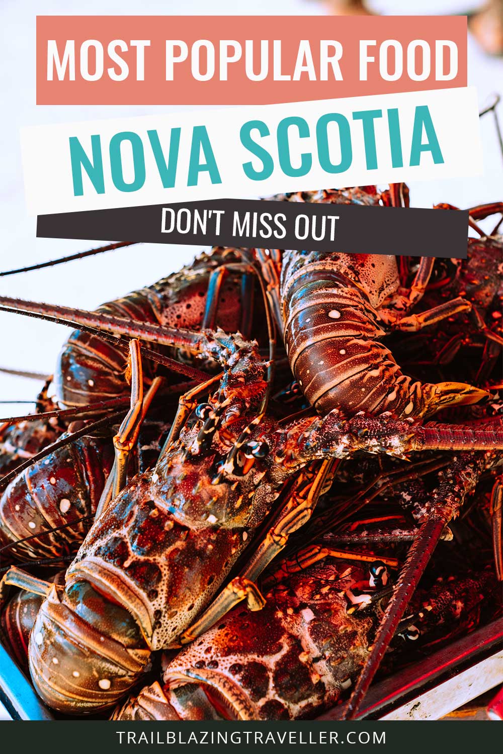 A bunch of cooked lobster - Most Popular Food Nova Scotia