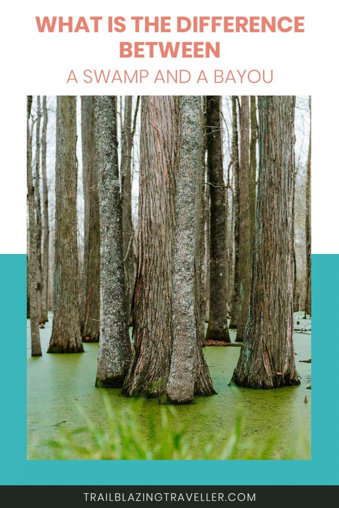 What Is The Difference Between A Swamp And A Bayou Trailblazing Traveler