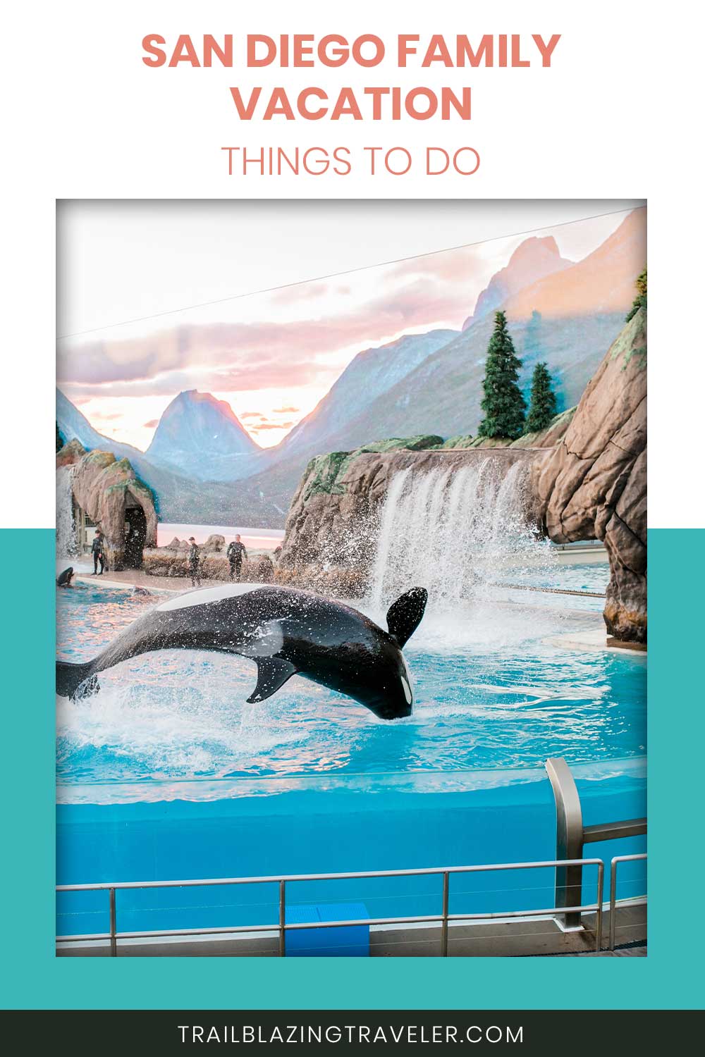 A dolphin jumping in a pool - San Diego Family Vacation Things To Do.